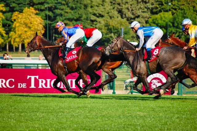 Thoroughbred horses racing on a wet track